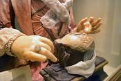 museo di anatomia umana bologna 8-2022 4764